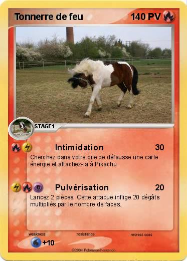 Pokemon Tonnerre de feu