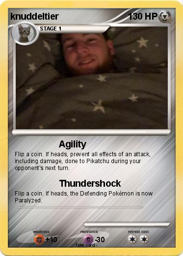 Pokemon knuddeltier
