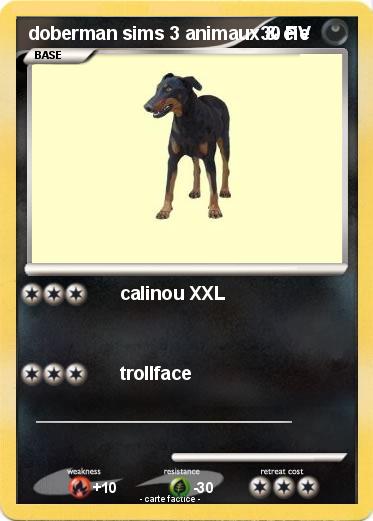 Pokemon doberman sims 3 animaux & cie