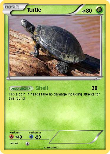 Pokemon Turtle