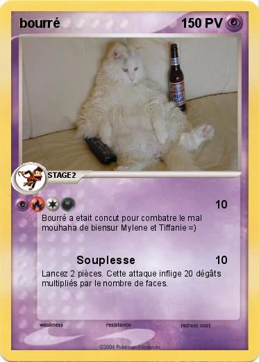Pokemon bourré