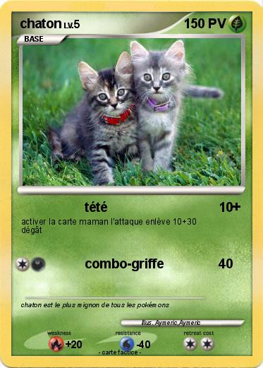 Pokemon chaton