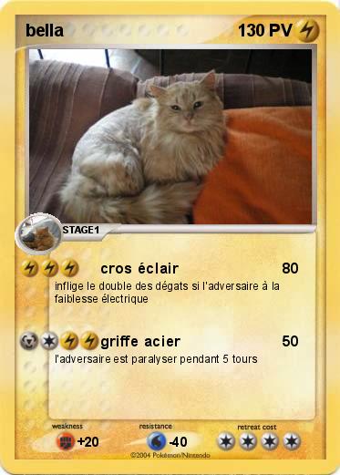 Pokemon bella