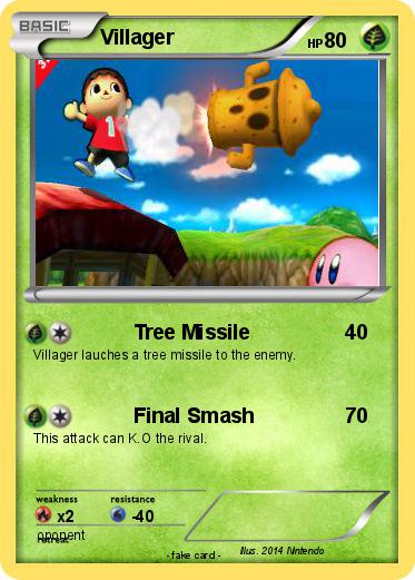 Pokemon Villager