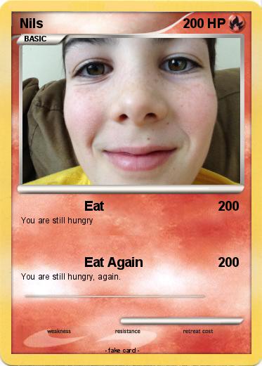 Pokemon Nils