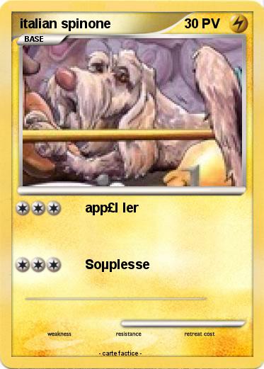 Pokemon italian spinone