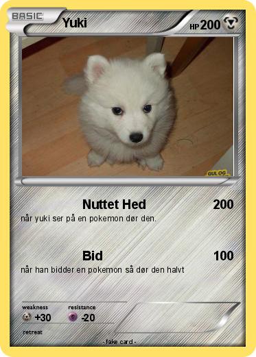 Pokemon Yuki
