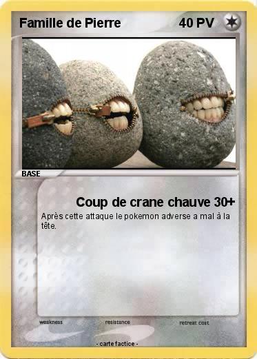 Pokemon Famille de Pierre