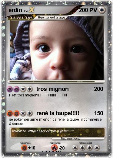Pokemon erdin
