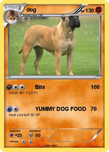 Pokemon dog