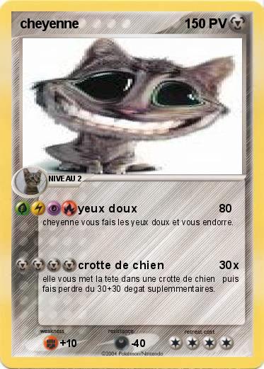 Pokemon cheyenne