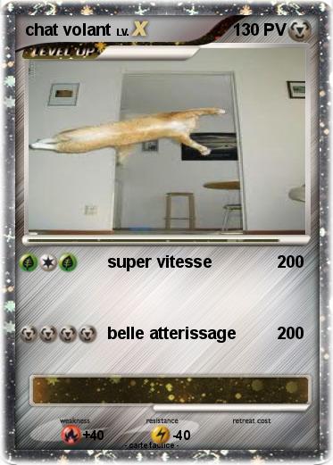 Pokemon chat volant
