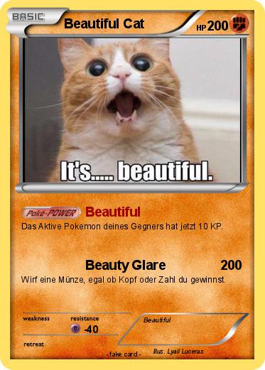 Pokemon Beautiful Cat