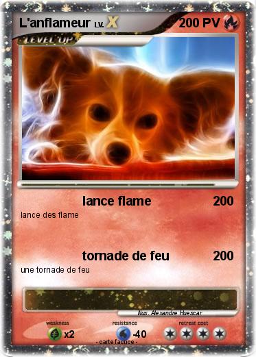 Pokemon L'anflameur