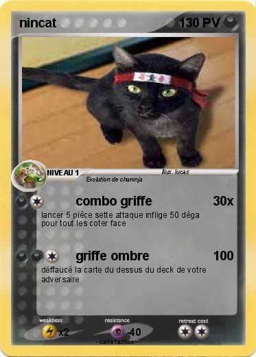 Pokemon nincat