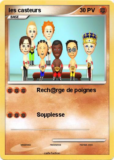 Pokemon les casteurs