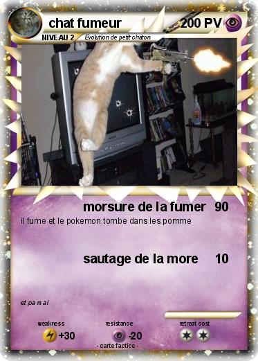 Pokemon chat fumeur
