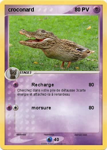 Pokemon croconard