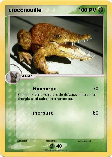 Pokemon croconouille