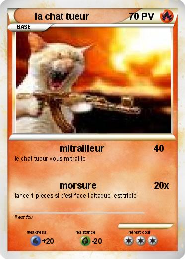 Pokemon la chat tueur