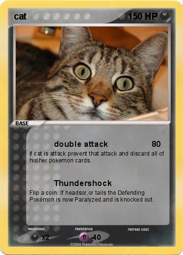 Pokemon cat