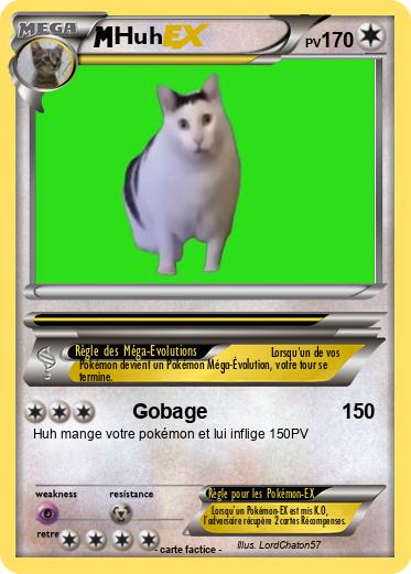 Pokemon Huh