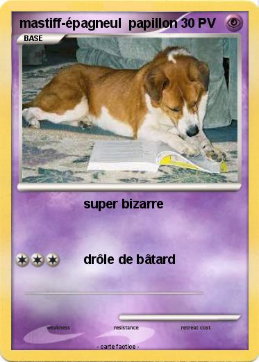 Pokemon mastiff-épagneul  papillon