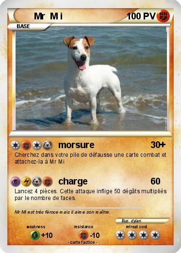 Pokemon Mr  M i