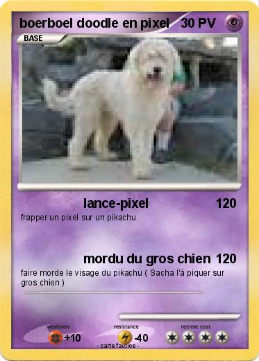 Pokemon boerboel doodle en pixel
