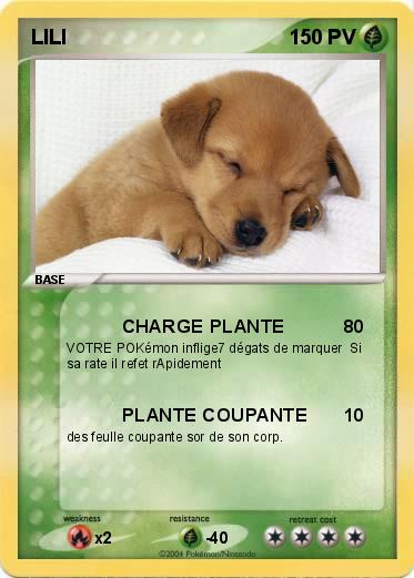 Pokemon LILI