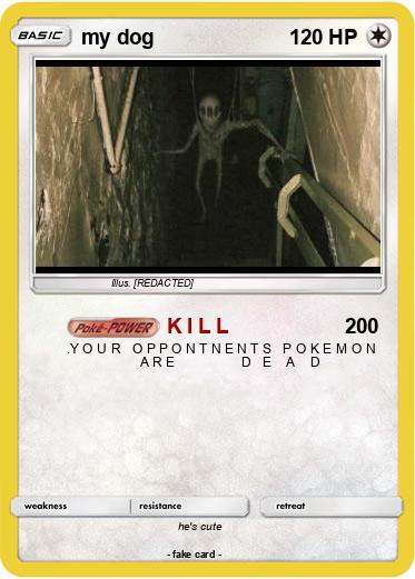 Pokemon my dog