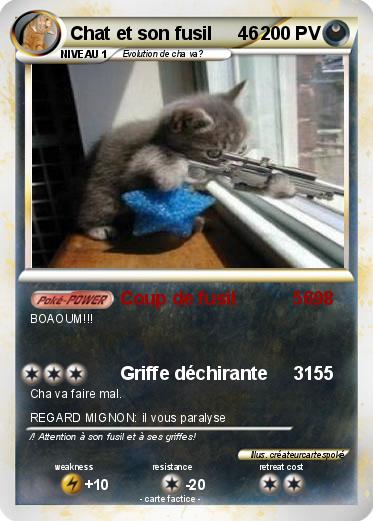 Pokemon Chat et son fusil     46