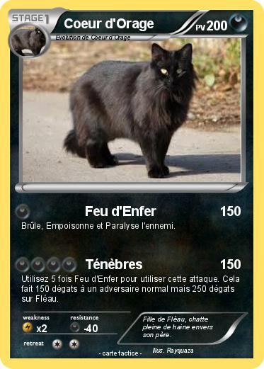 Pokemon Coeur d'Orage