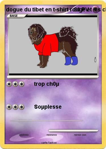 Pokemon dogue du tibet en t-shirt rouge et les ch@ssettes