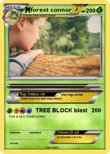 Pokemon forest connor