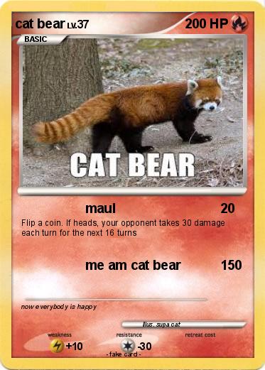 Pokemon cat bear
