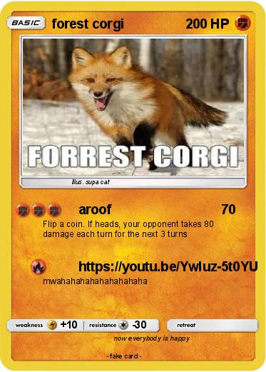 Pokemon forest corgi