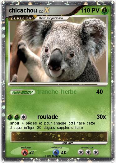 Pokemon chicachou