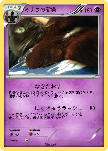 Pokemon ミサワの愛猫