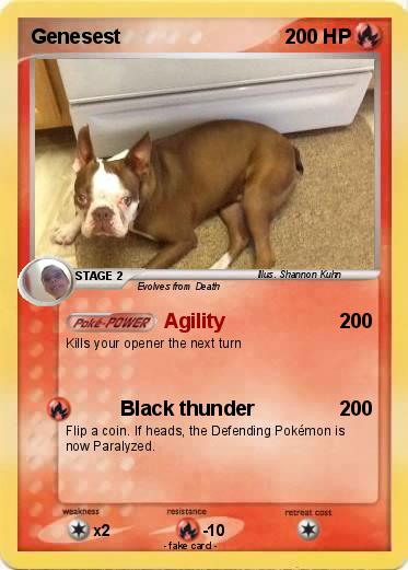 Pokemon Genesest