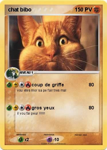 Pokemon chat bibo