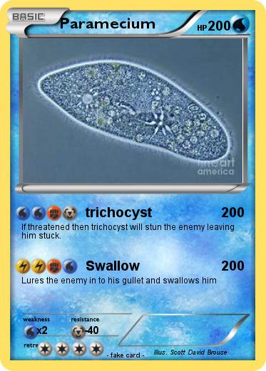 Pokemon Paramecium