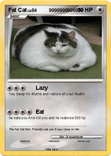 Pokemon Fat Cat
