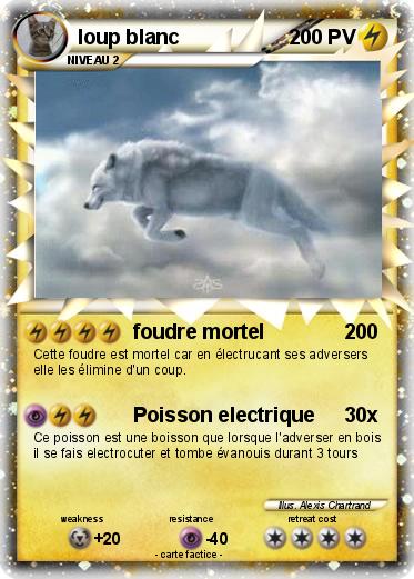 Pokemon loup blanc