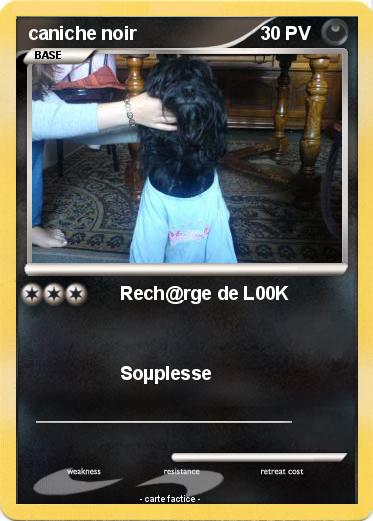 Pokemon caniche noir