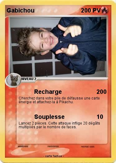 Pokemon Gabichou
