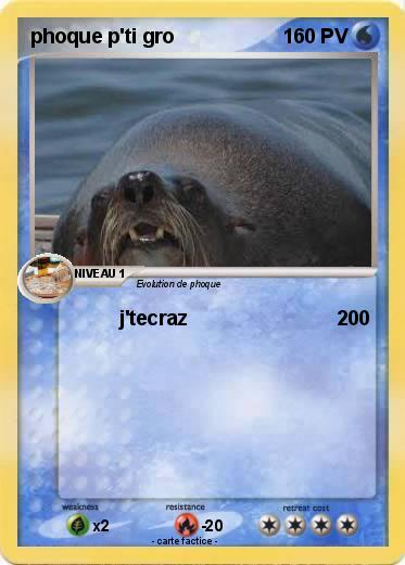 Pokemon phoque p'ti gro