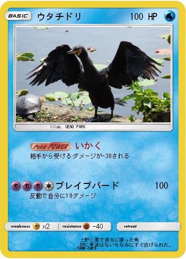 Pokemon ウタチドリ