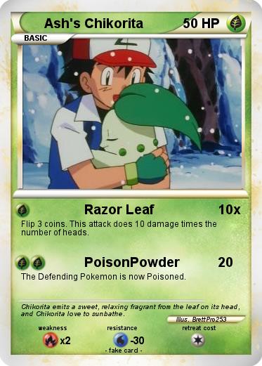 Pokemon Ash's Chikorita