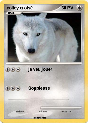 Pokemon colley croisé